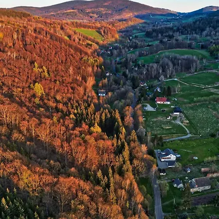 U Belli *